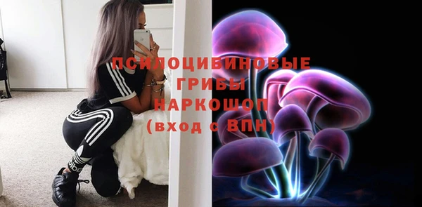 метадон Осташков