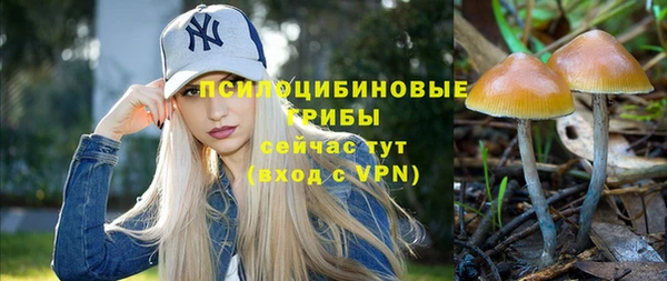 а пвп мука Осинники